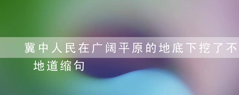 冀中人民在广阔平原的地底下挖了不计其数的地道缩句