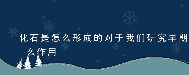 化石是怎么形成的对于我们研究早期人类有什么作用