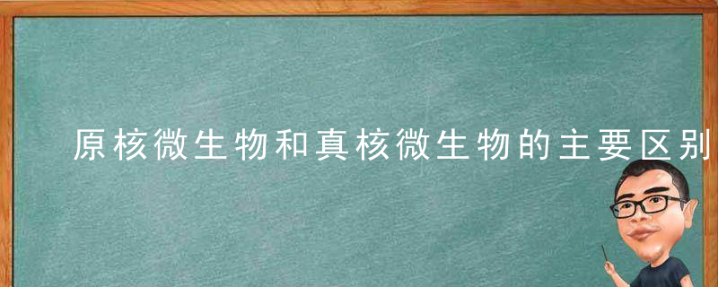 原核微生物和真核微生物的主要区别