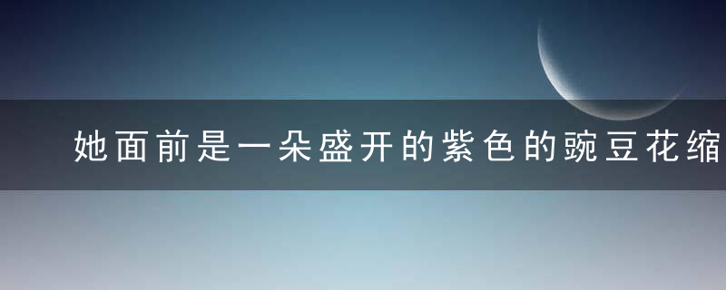 她面前是一朵盛开的紫色的豌豆花缩句