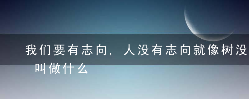 我们要有志向,人没有志向就像树没有根,这叫做什么