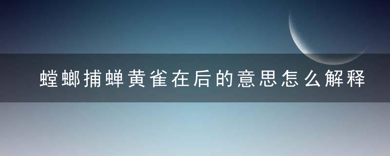 螳螂捕蝉黄雀在后的意思怎么解释