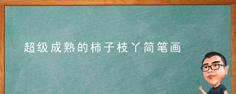 超级成熟的柿子枝丫简笔画