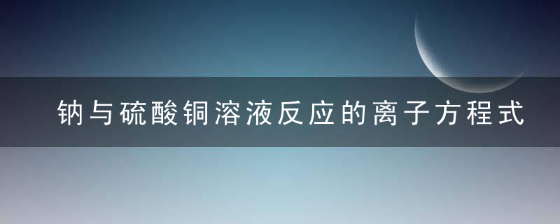 钠与硫酸铜溶液反应的离子方程式